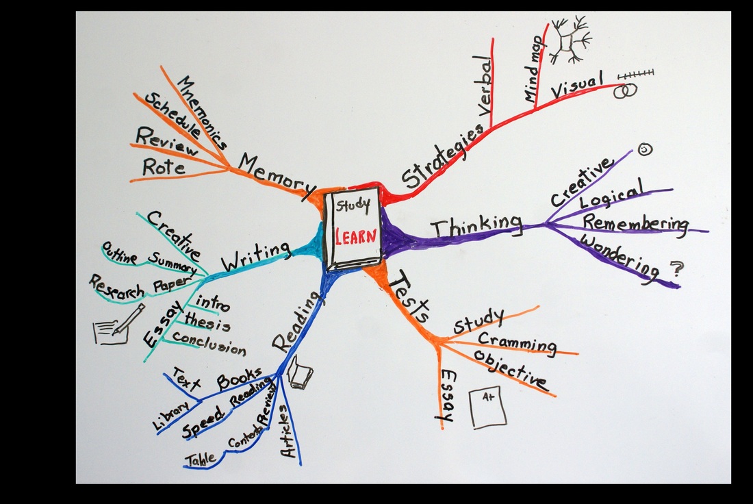 What is Concept Mapping and How to Use It?